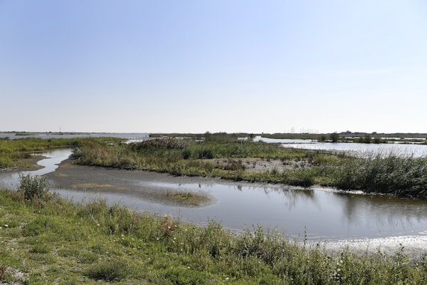 Marker Wadden